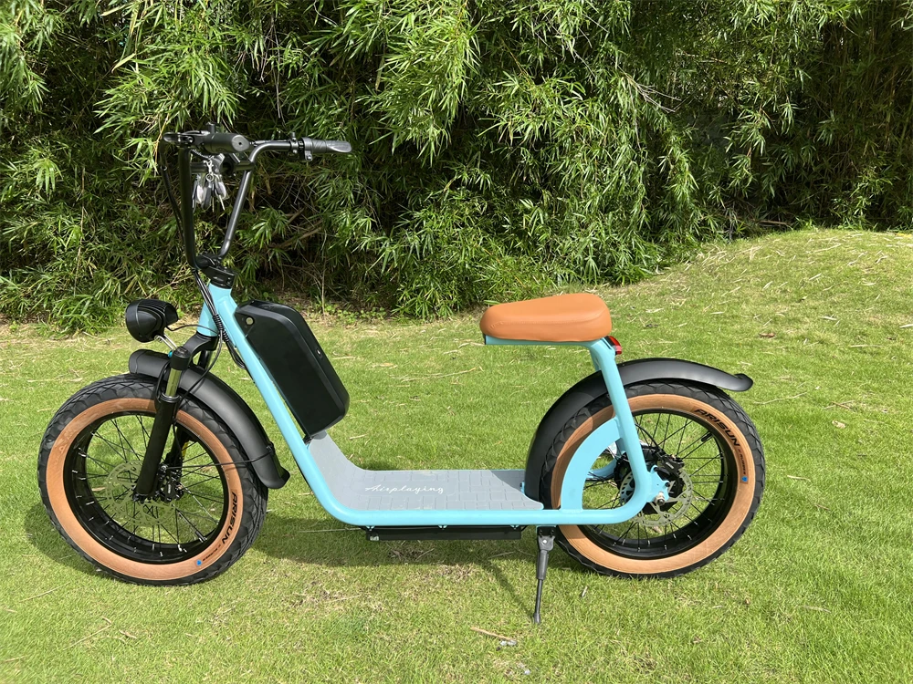 2023 Electric Cargo Bike 1000w 48v 20/25/30ah Removable Battery