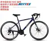 Parfit Blue 21 Speed