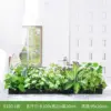 E100-1 100*25cm flower troughs