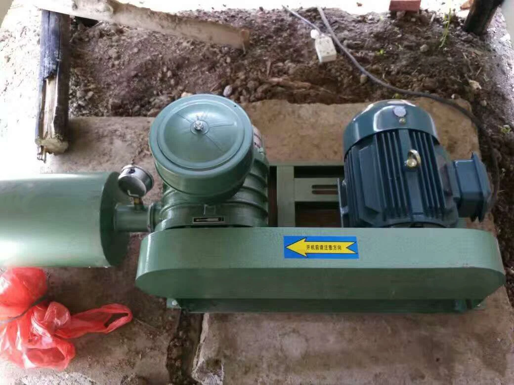 Roots Blower, 1.5KW, Cast - detail 30