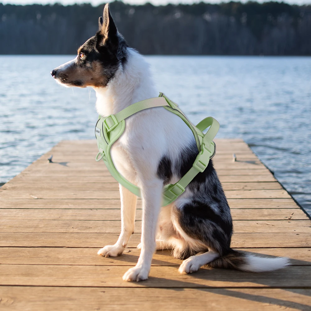 Wholesale New Design Dog Pet Pets Accessories Nylon Neoprene Outdoor No