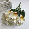 Amarillo blanco