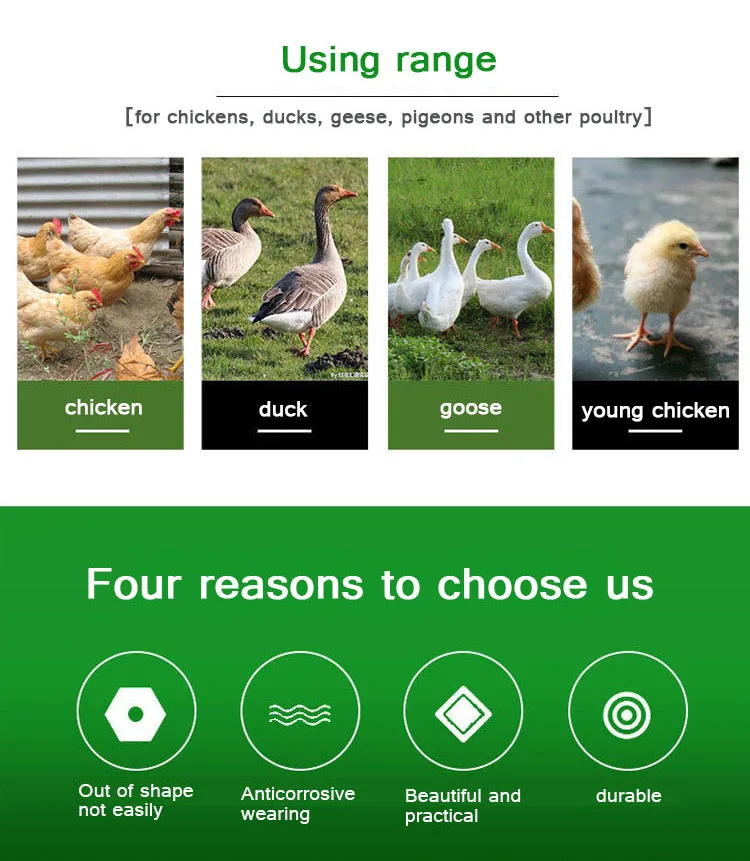 automatic chicken plasson drinker for poultry chicken with high quality