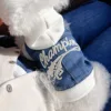 Champion bleu