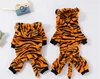 Marrone scuro, Tigre