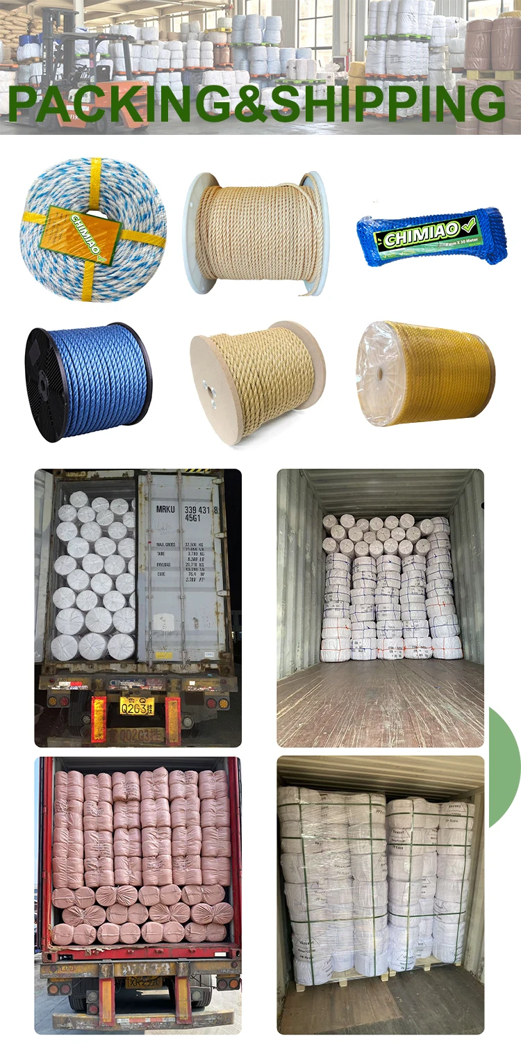 Manufacturers Sale Danline Polypropylene Rope 3-4 Strand Twisted PP 6MM ...