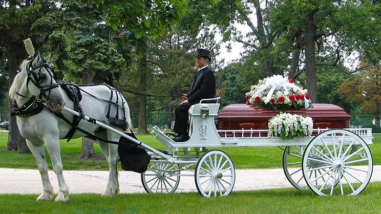 hearse/carriage silver glass covered coffin horse carriage