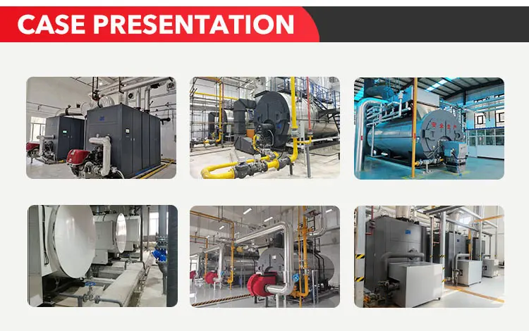 Steam Boiler, LPG, Natural Circulation - detail 16