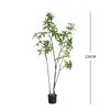 Árbol del dinero de hoja pequeña, tipo A, 120 cm