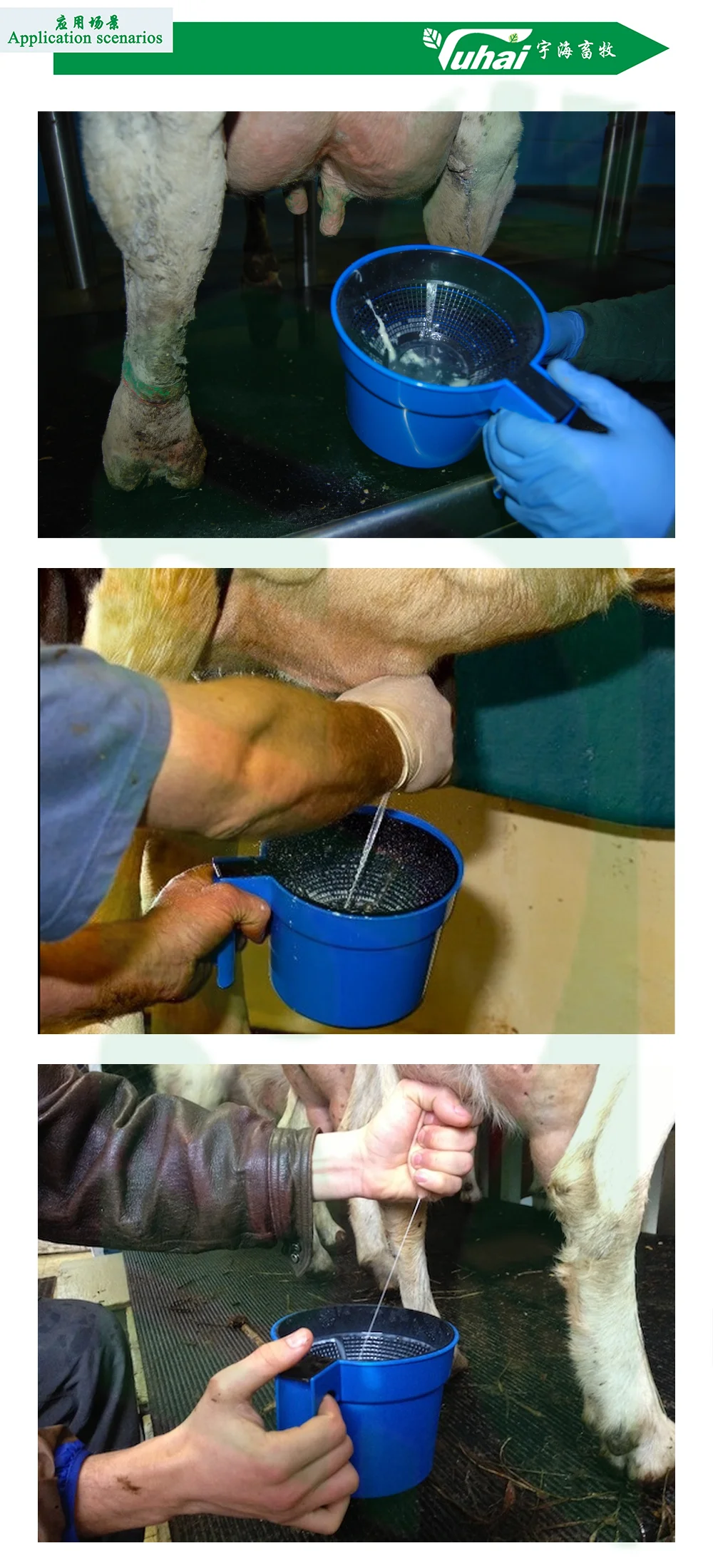 detection cup for cow cattle feeder-1