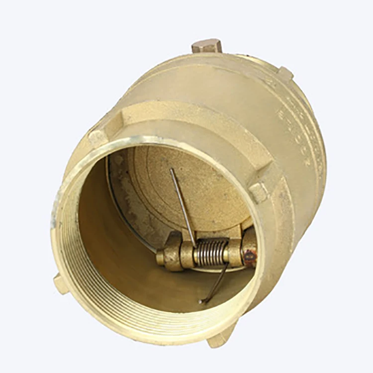 Brass Check Valve manufacture