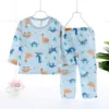 dinosauro (maniche lunghe + pantaloni)
