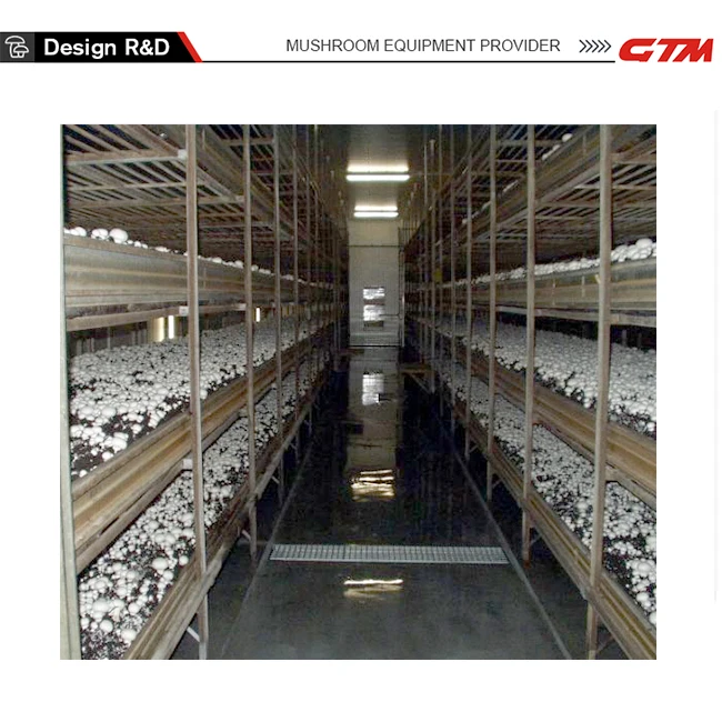 Aluminum Shelving White Button Mushroom Growing Rack High Strength