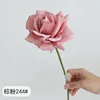 Rosa marrone
