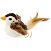White Bird