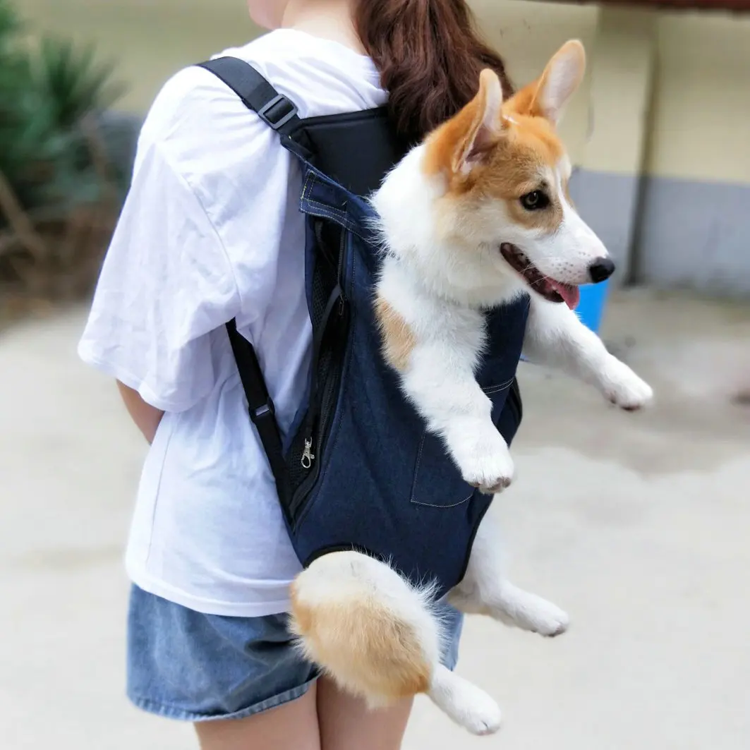Designer Outdoor Carrying Portable Chest Dog Carrier Backpack Foldable