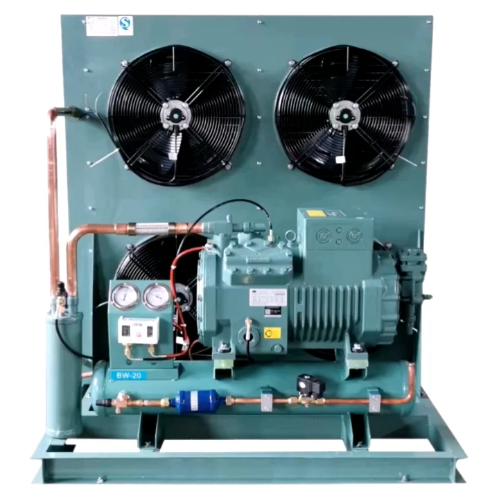 Walk In Freezer Air Cooled Condenser Unit Low Temperature Bitzer
