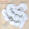 Ginkgo biloba blanc