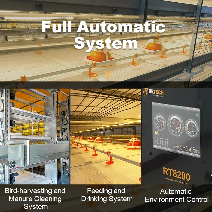 Hot Sale Automatic Broiler Chicken Cage Poultry Equipment for Broiler Farm