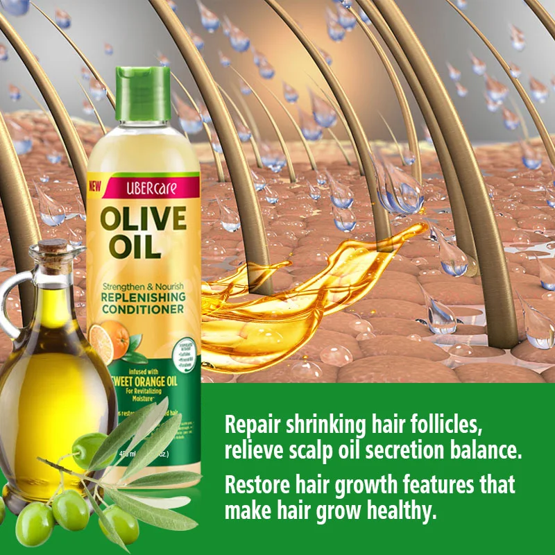 Stock Product Olive Extract Summer Oil Control Hair Care Hotel Best Olive Oil Hair Shampoo for Dry Hair