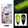 9D cat eye powder 07