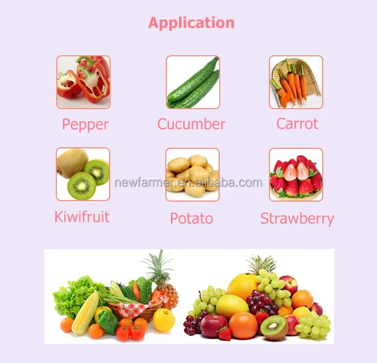 High Efficiency Dried Fruit and Vegetable Production Line