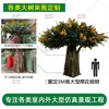 Enlace de depósito de árbol de banyan en flor de 5 m de altura