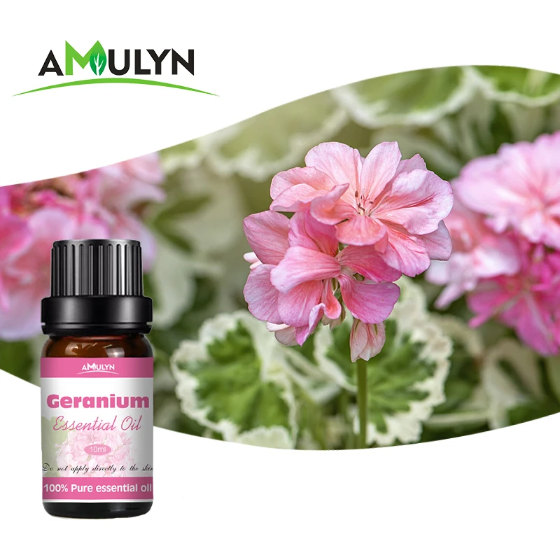 rose geranium essential oil pure nature geranium oil - buy