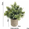 Hibiscus chrysanthemum powder ahe367-067