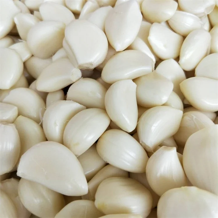 Fresh Peel Garlic 2022 New Crop Cheap Price Peeled Garlic Clove Vacuum