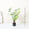 White-edged Monstera leaf - 90cm