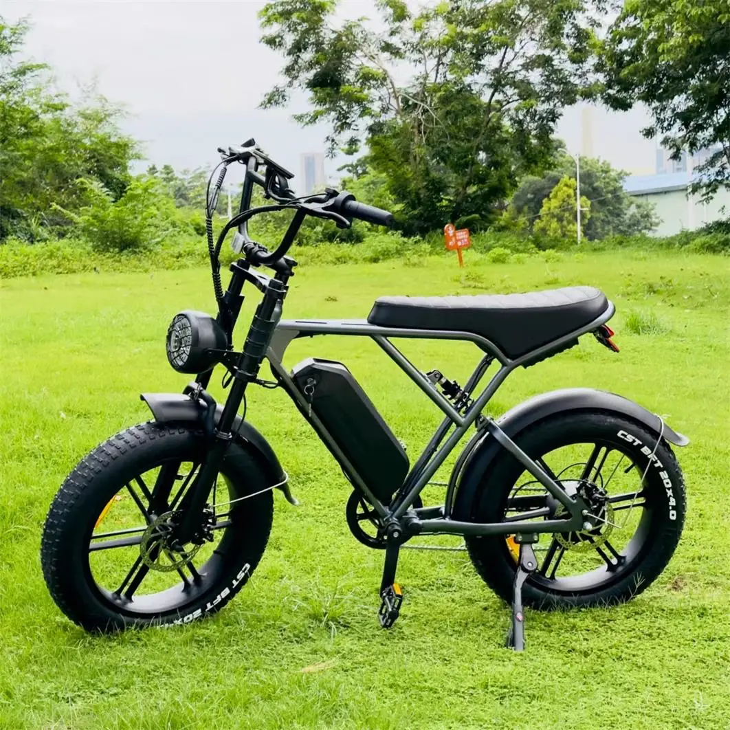 Ouxi H Electric Fat Bikes Inches Electric Fat Bicycles Ouxi V Electric Bike Ouxi V