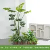 Modèle R-arbre à dos de tortue-petit paysage avec souche de bois