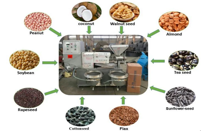 Commercial Cold and Hot Press Soybean Groundnut Coconut Sunflower Oil Press Machine Oil Mill Making Pressing Extracting Machine manufacture