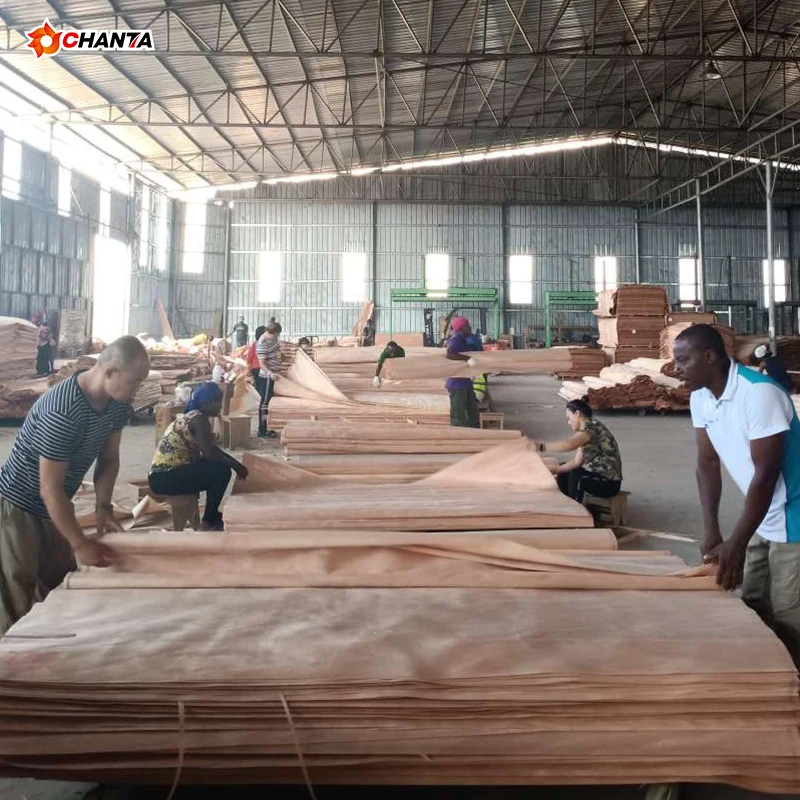 Factory Direct Sales 1270*2500 Customize Composite Rotary Cut Okoume Wood Face Veneer From Gabon