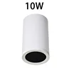 White 10W