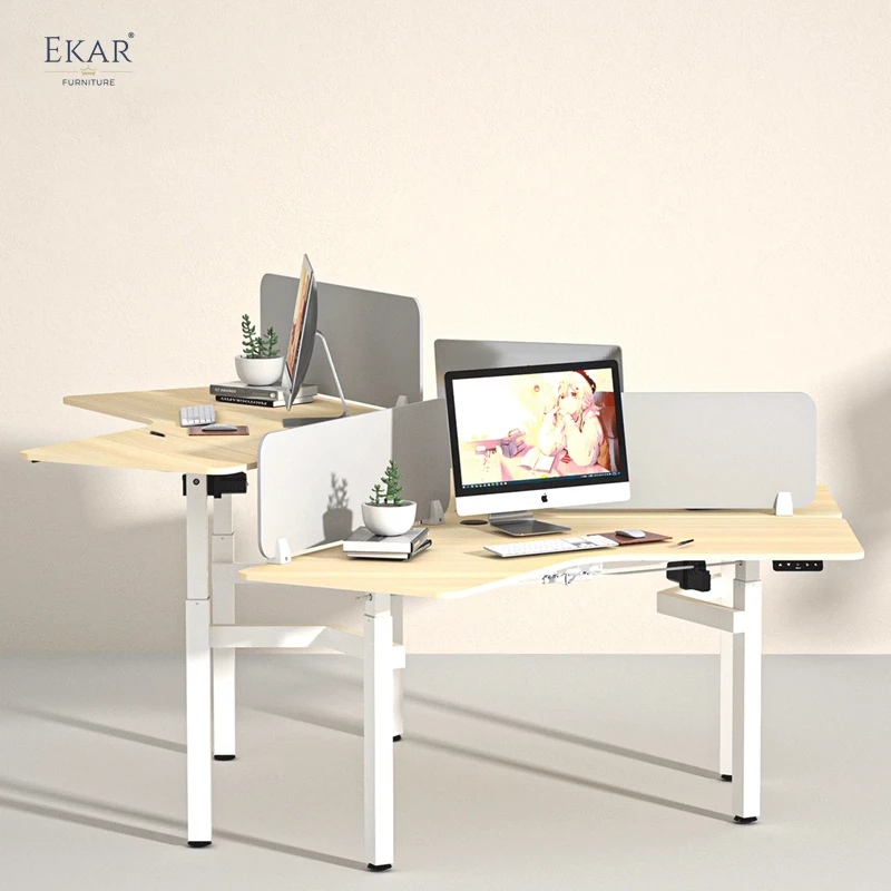 Ekar Expand Furniture Elevated desk Spacious Collaborative Office Workstation Desk details