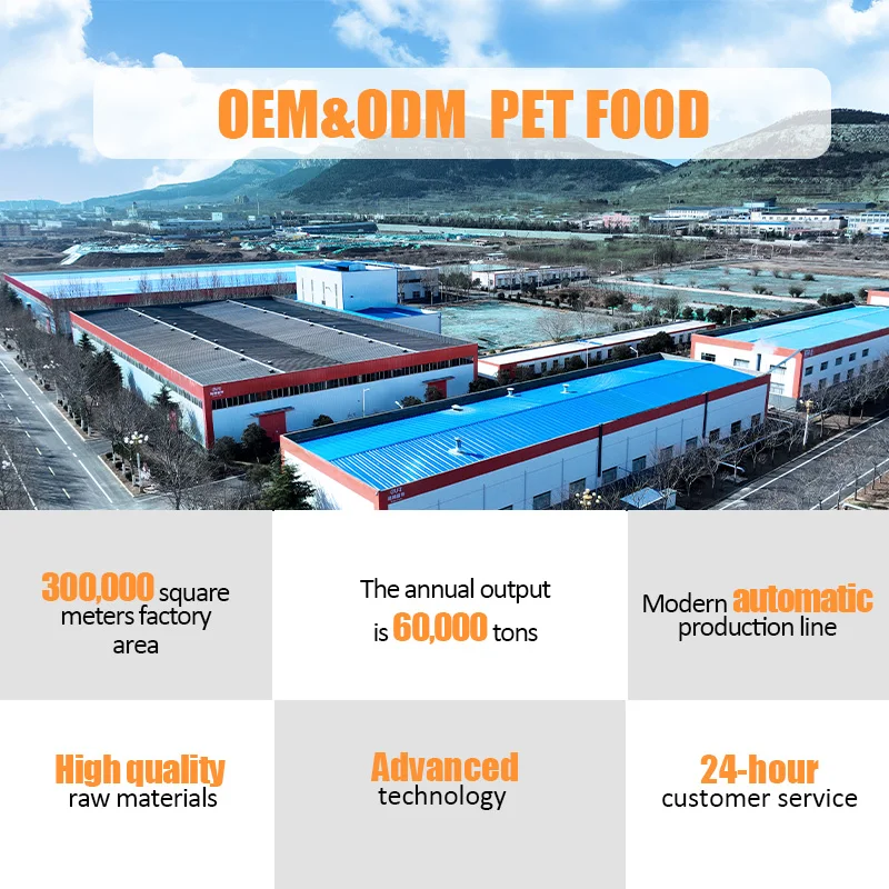 Factory Exports Custom Flavors Shapes Fat Content 5% -20% All Age Dry Dog Food