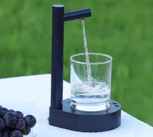 New Arrival Newpower Amplifier Boarder Accept OEM Type C Rechargeable Intelligent Water Dispenser Pump Power Amplifier Board 5V