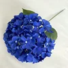 Azul rey