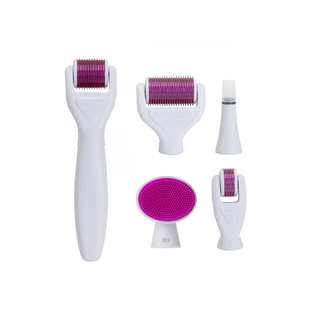 Wholesale 0.5mm microneedle dermaroller 1200 micro needle beard derma roller kit 6 in 1 for hair growth