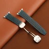 Dark Blue & starlight clasp
