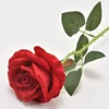 Rose madder