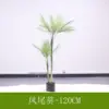 Phoenix palm, double stem, 120cm (comes with black base)