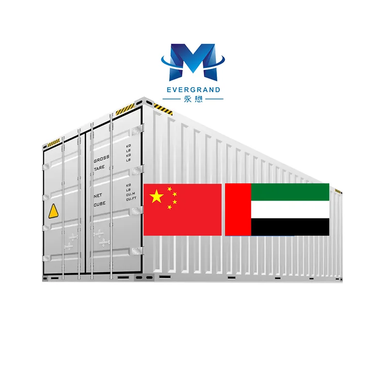 Shanghai Fast FCL Sea Shipping Logistics Service 20FT Freight Forwarder From China to UAE/Dubai/Sharjah
