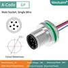 M12-A-6P male M12*1.0