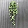 3D 11 fourchettes blanc vert