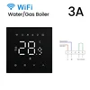 Gas Boiler-Black