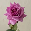 สีม่วง