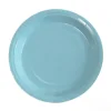 9 inch paper plate*10 pcs*Blue